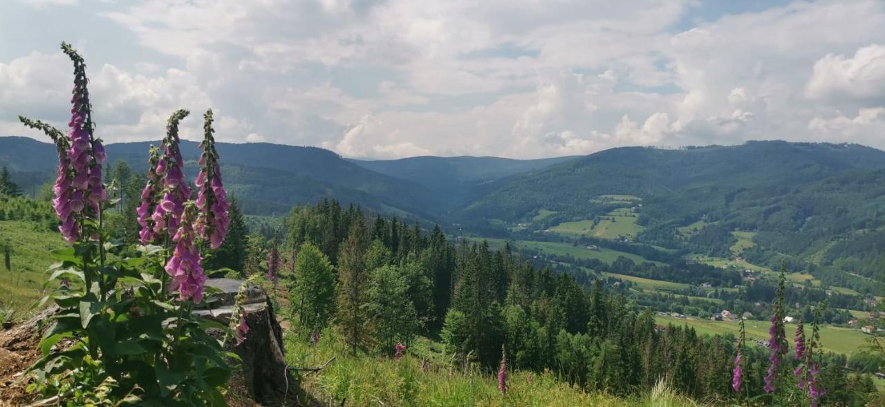 Chalupa Relax Dolni Lomna Exterior foto